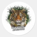 Search for fierce stickers Fashion
