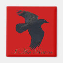 Search for black crow magnets Goth