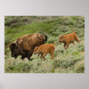 Search for three people posters Usa