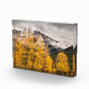 Search for alpine loop Aspen