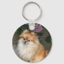 Search for pomeranian dog key rings Flowers