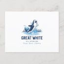 Search for hammerhead shark postcards Sharks
