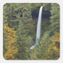 Search for silver state stickers Scenic