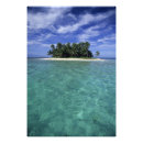 Search for barrier art Tropical