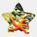 Search for divine love stickers Star