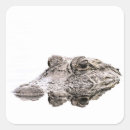 Search for florida gator stickers Nature