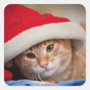 Search for selective focus stickers Animal