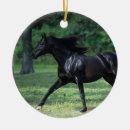 Search for thoroughbred horse christmas tree decorations Running