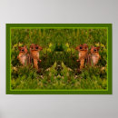 Search for baby animal posters Nature