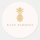 Search for pineapple design stickers Tropical