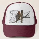 Search for hawking hats Falcons