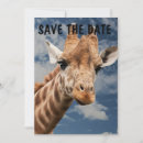 Search for jungle wedding invitations Giraffe