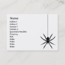 Search for spiderweb business cards Spiders