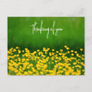 Search for buttercup postcards Floral
