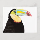 Search for colourful bird art postcards Tropical