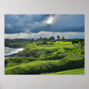 Search for cliff art Hawaii