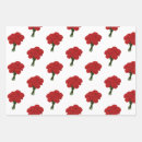 Search for carnation wrapping paper Feminine