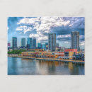 Search for tampa postcards City