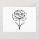Search for carnations postcards Botanical