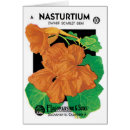 Search for nasturtium cards Vintage