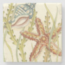 Search for seashell coasters Chariklia zarris