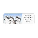 Search for husky return address labels Alaskan malamute