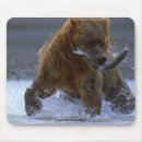 Search for grizzlies mousepads Brown bears