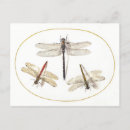 Search for flying dragons postcards Dragonflies