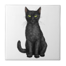 Search for black and white cat tiles Cute