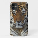 Search for panthera iphone cases Animal