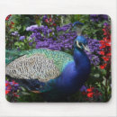 Search for peafowl mousepads Blue