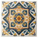 Search for spanish tiles Mediterranean