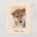 Search for inu postcards Puppy