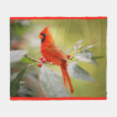 Search for red cardinal bird blankets Nature