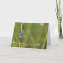 Search for flying insects cards Nature