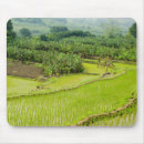 Search for crust mousepads Nobody