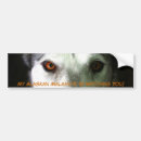 Search for alaskan malamutes bumper stickers Siberian husky
