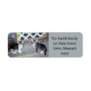 Search for grey cat return address labels Kittens