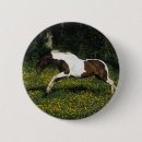 Search for painted image badges Horse
