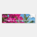 Search for scenes bumper stickers Nature