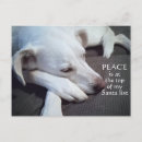 Search for dog christmas postcards Xmas