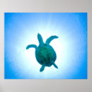 Search for reptile posters Animals