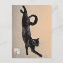 Search for cat tail postcards Cats