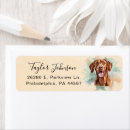Search for vizsla return address labels Pet