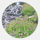 Search for crater lake stickers Landscape
