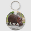 Search for herbivorous key rings Mammal