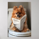 Search for funny bathroom posters Dog on toilet