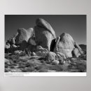 Search for ucr posters Nature