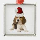 Search for original christmas tree decorations Puppy