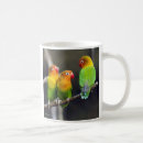 Search for fischer mugs Agapornis
